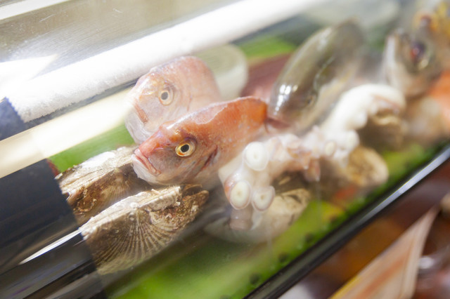 酒処　とくとく - 天童（居酒屋）の写真