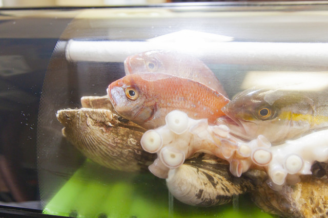 酒処　とくとく - 天童（居酒屋）の写真