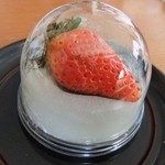 濱うさぎ - イチゴ大福（２６０円）