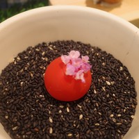 ENEKO Tokyo - 