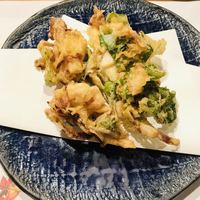 シーズン - 