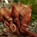 酒菜坊 橋蔵 - ほたるいか　ズームアップ