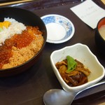 中央食堂 - かにうにいくら丼