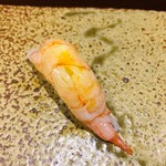 鮨匠 のむら - ナミクダヒゲエビ
