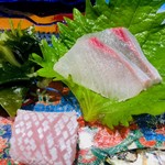 鮨匠 のむら - ヒラマサ　身とハラミ