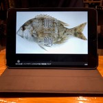 鮨匠 のむら - メイチダイ