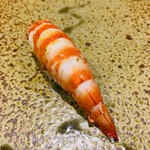 鮨匠 のむら - 車海老