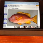 鮨匠 のむら - フエダイ