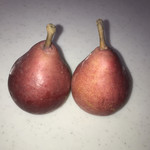 JAやまがた おいしさ直売所  - 料理写真:りんご色の？