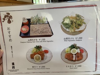 Tamagawa Shokudo - お写真付きメニュー①