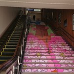 橋本家 - 桜の街ですね