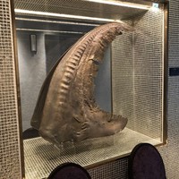 GoldFin 過門香 新橋店 - 