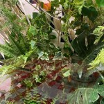 キャンティ 飯倉片町本店 - 