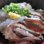 田子の浦港 漁協食堂 - しらすの親子丼