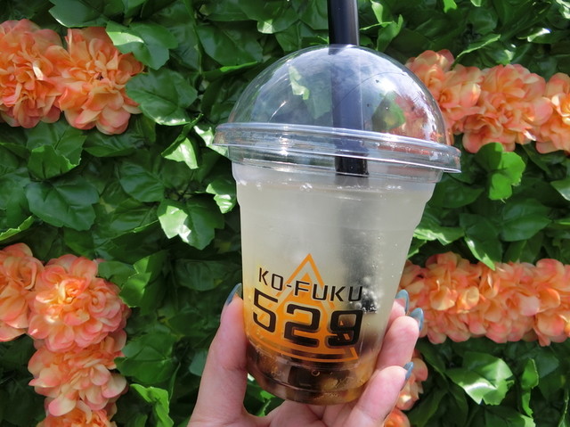 たぴおか バラエティーセット】冷凍タピオカ個食パック <<TAPICA>> メイン：台湾