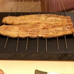 白金にし田 - 鰻～～