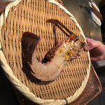 新宿モンシェルトントン - 