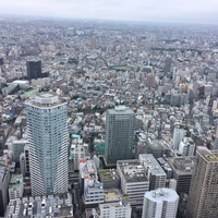 サンシャイン クルーズ・クルーズ - 