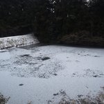 アラスカ - この時期（２月上旬店先の湖は毎朝のように凍りつき、神秘的な世界観を演出してくれます☆