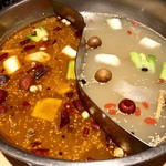 Tenshan Feiwei - 薬膳火鍋スープ・パクチー（薬味)