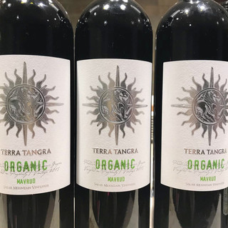 ティティカフェ_0