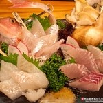 旬 - 刺身盛り合わせ
