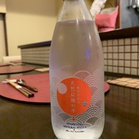 奥会津 金山天然炭酸水