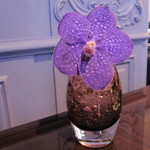 ラ ターブル ドゥ ジョエル・ロブション - 蘭も紫色