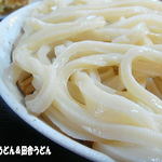 田舎打ち 麺蔵 - 2012年2月　うどん