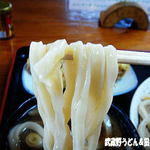 田舎打ち 麺蔵 - 2012年2月　うどん　アップ