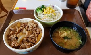 Sukiyaka Tsushika Shibamata Ten - 牛丼(ミニ)サラダセット(440円)