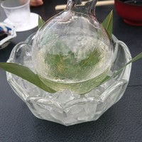 先斗町 魯ビン - 