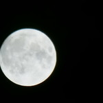 ペル・パラッツォ - 中秋の名月