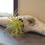 ビストロ セレニテ - 