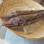 ビストロ セレニテ - 