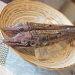 ビストロ セレニテ - 