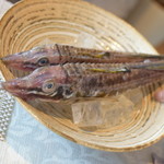 ビストロ セレニテ - 