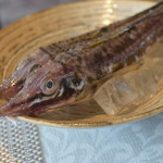 ビストロ セレニテ - 