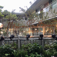 メゾン ポール・ボキューズ - 