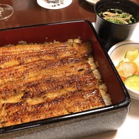 鰻割烹 伊豆栄 本店 - 