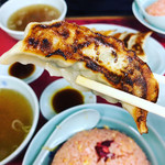 珉亭 - 餃子６個￥５００