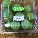 六斉舎 - シャインマスカット