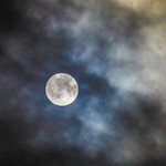 いりむら - 朧月（おぼろづき）の望月（もちづき）