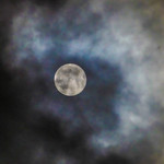 いりむら - 朧月（おぼろづき）の望月（もちづき）