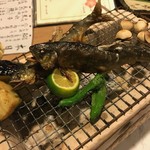 ふく亭 - 鮎の塩焼き。名残りの素材を旬の味わいと共に。素晴らしいです。