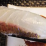 玄海鮨 - タイ  ですね