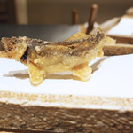 日本橋 蕎ノ字 - 天竜川の若鮎