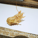 日本橋 蕎ノ字 - 海老の頭（１本目）