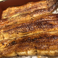 うなぎ割烹 白金台 まつ本 - 