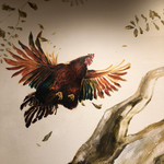 中華蕎麦 時雨 - 